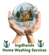 Replace ingdhand.com with ingdhands.net.